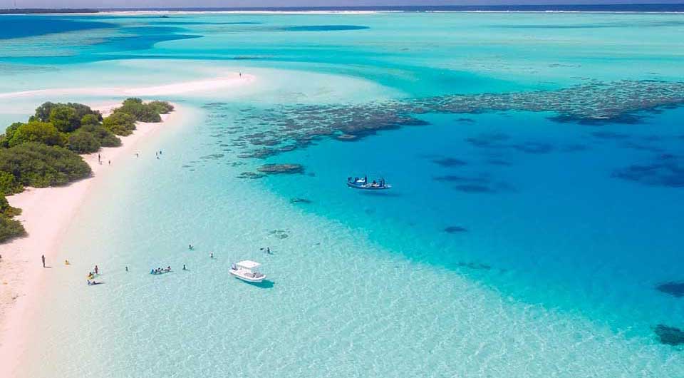 Become one with nature on a trip