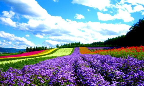 Great Tourist Sites In Da Lat